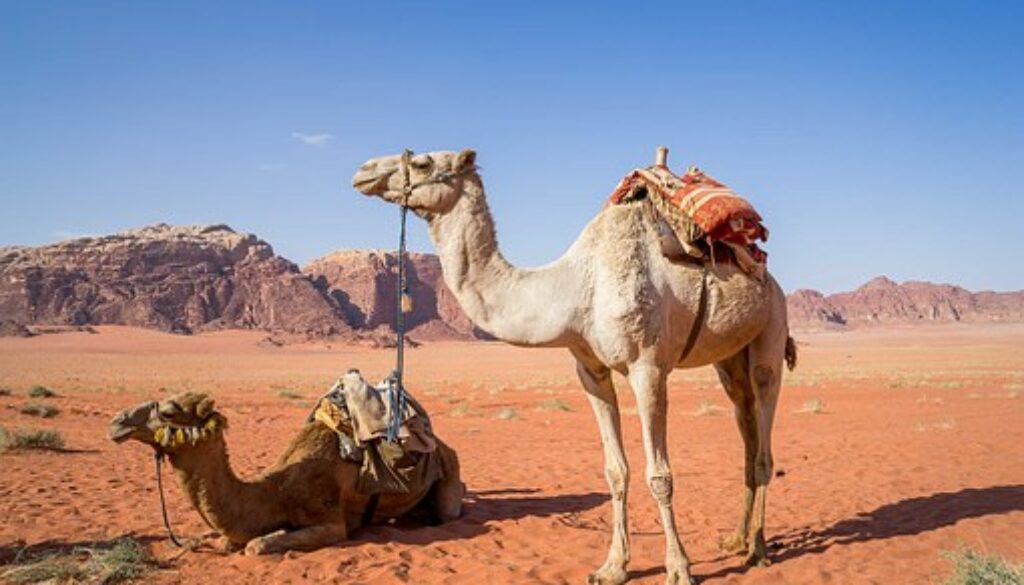 Wadi Rum Jordanien ©worldcalling4me