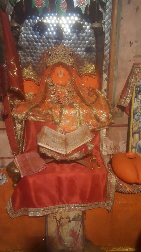 Monkey Tempel Jaipur 