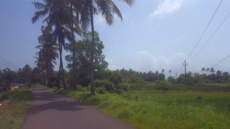 Rollerfahren in Goa