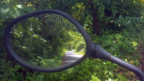 Cotigao Wildlife Sanctuary