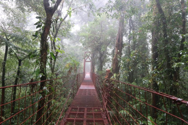 Nebelwälder von Monteverde