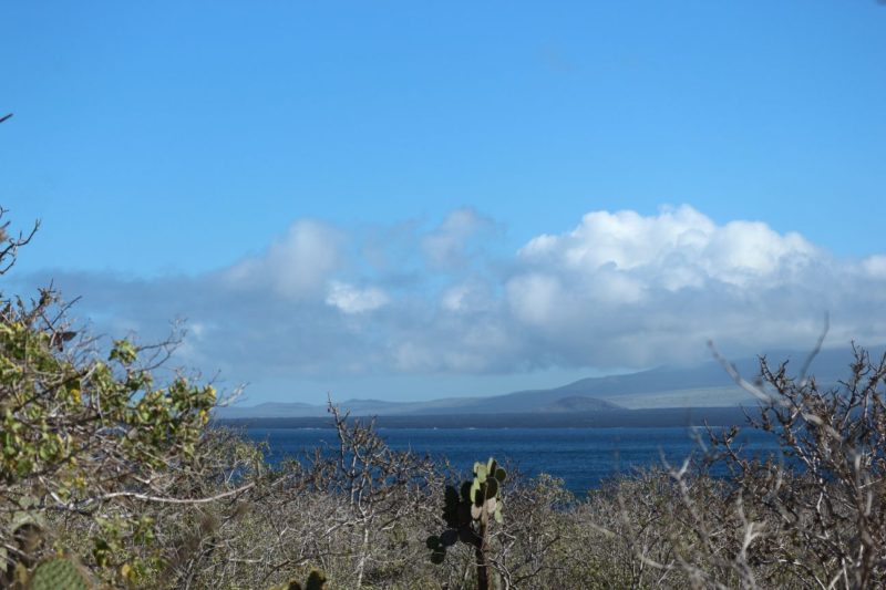 Viertägige Bootstour durch Galapagos