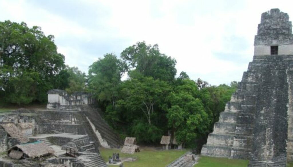 Tikal 42