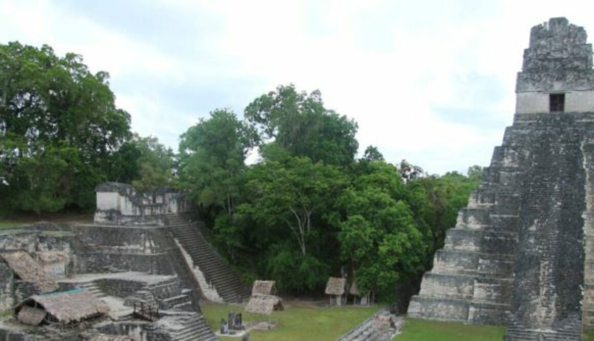 Tikal 42