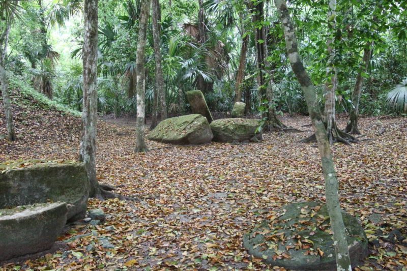 Mayaruine Tikal in Guatemala