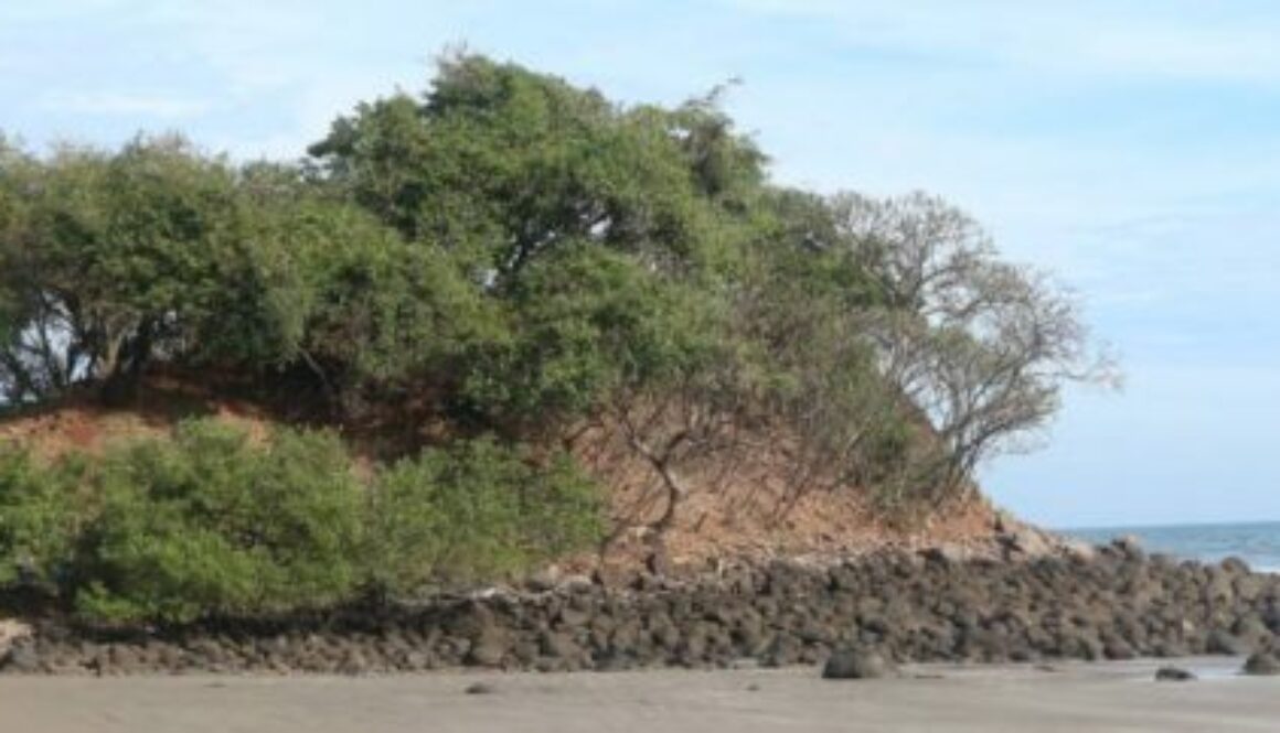 Punta Mango 6