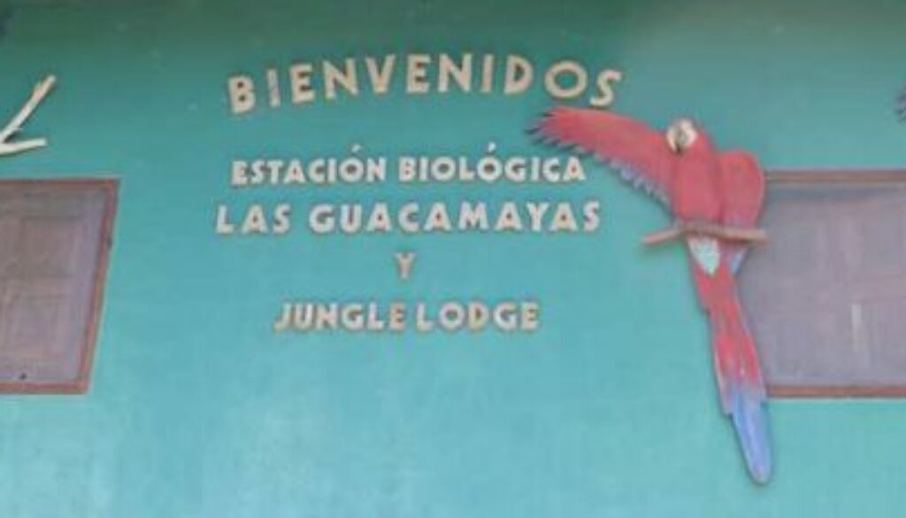 Guacamayas Eco Lodge15