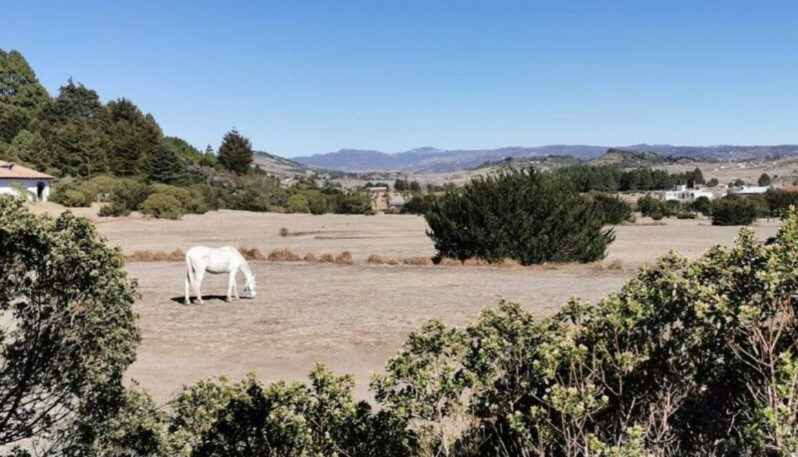 Unicorno Azul in Guatemala