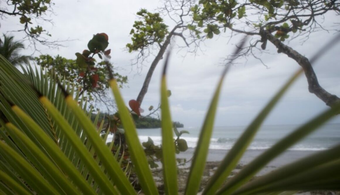 Bocas del Toro Insel29