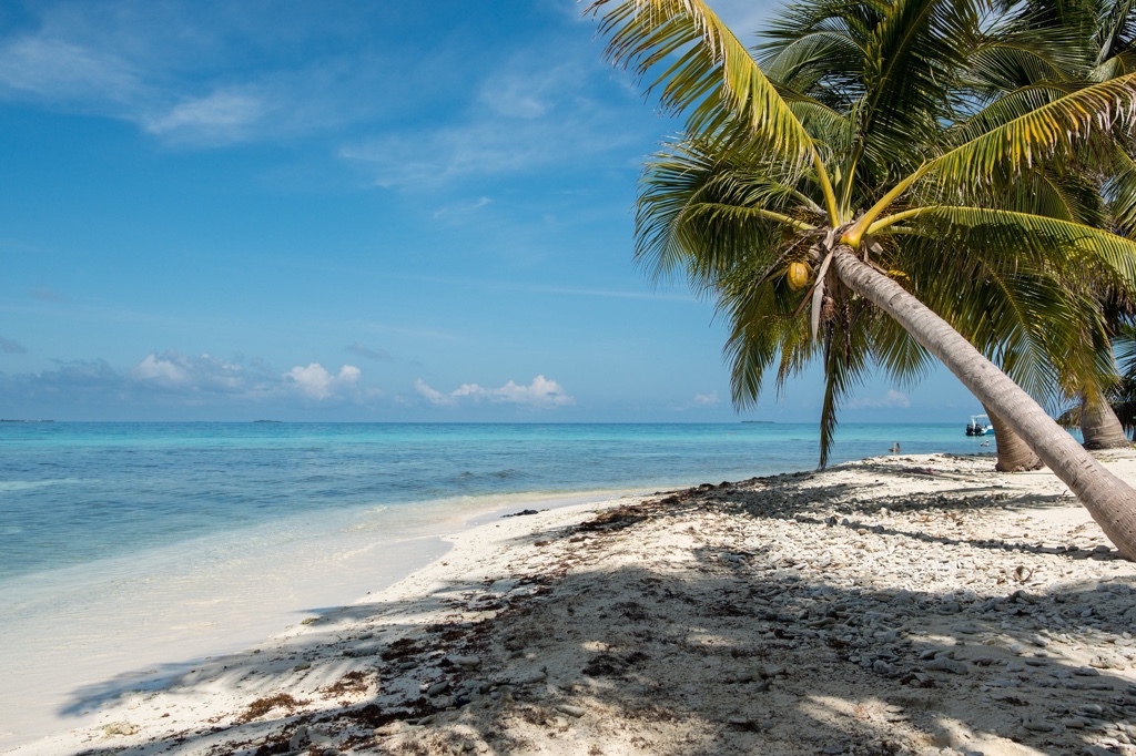 Gründe Caye Caulker nicht zu besuchen