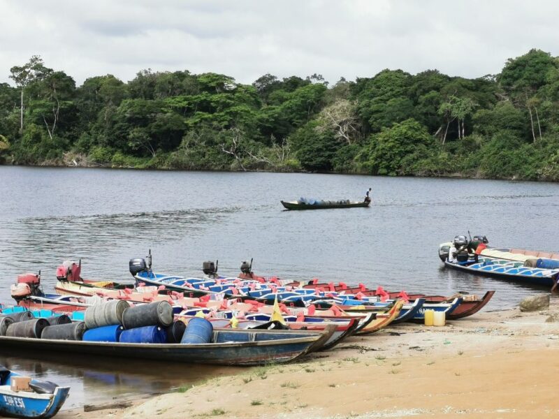 Besuch der Danpaati River Lodge in Suriname