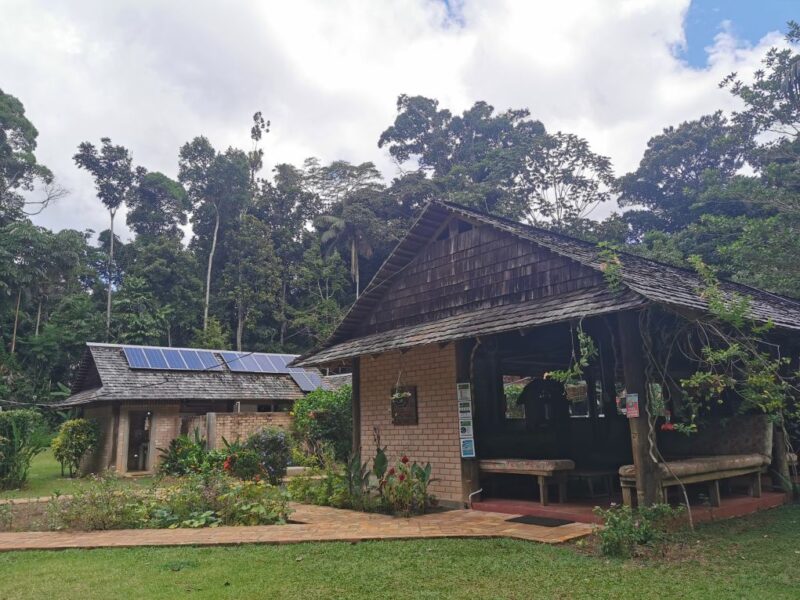 Atta Rainforest Lodge in Iwokrama