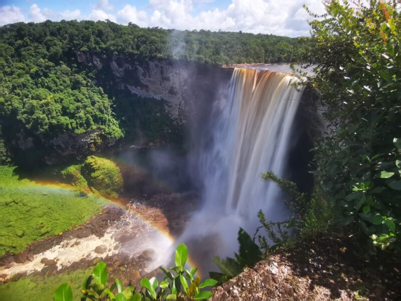 Highlights in Suriname und Guyana