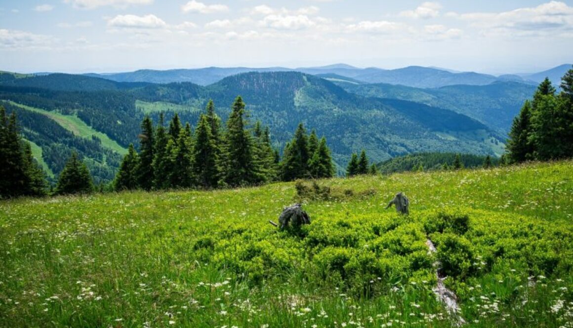 Reise nach Baden-Württemberg