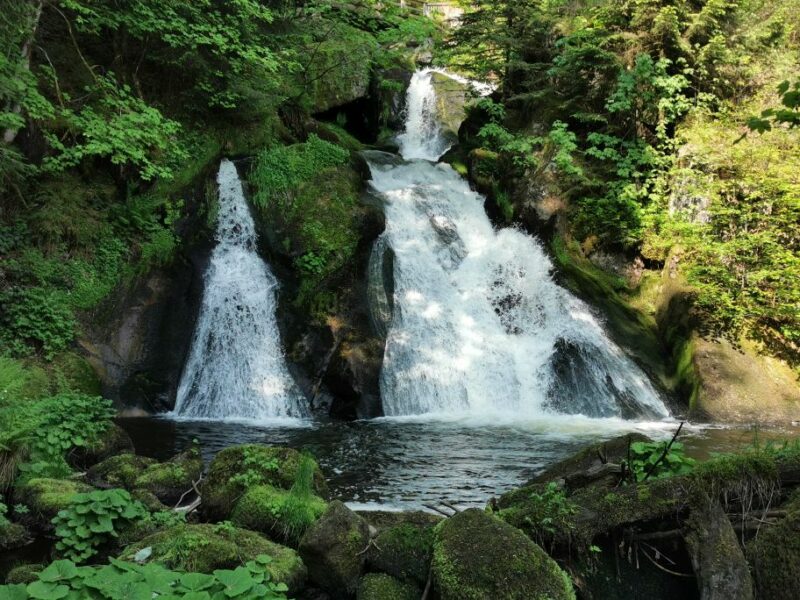 Besuch der Triberger Wasserfälle