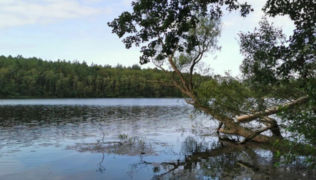 Aufenthalt am Schaalsee und Umgebung