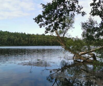 Aufenthalt am Schaalsee und Umgebung