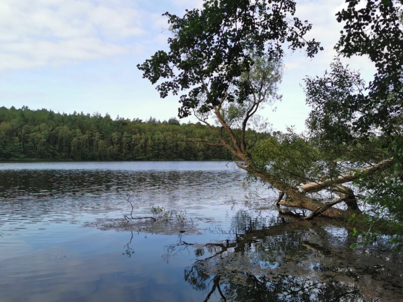 Aufenthalt am Schaalsee und Umgebung