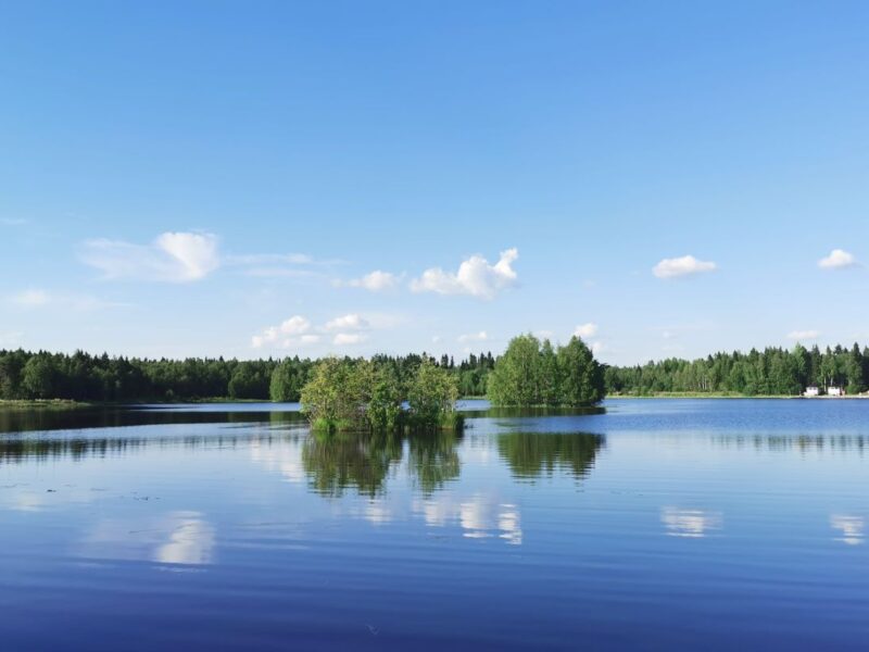 Roadtrip durch Finnland mit Hund
