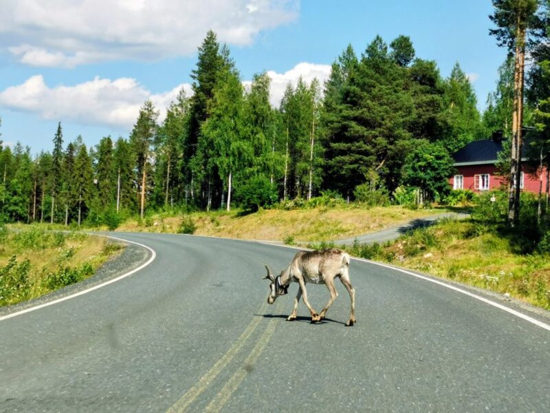 Finnland Roadtrip