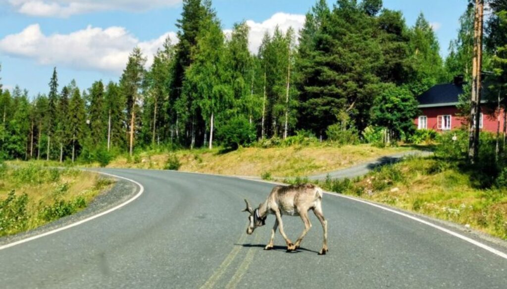 Schweden und Finnland 2025 214