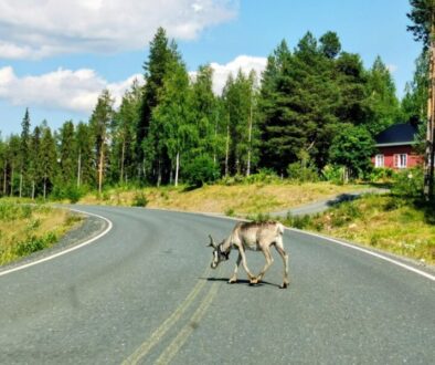 Schweden und Finnland 2025 214