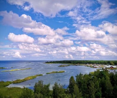 Roadtrip durch Finnland mit Hund
