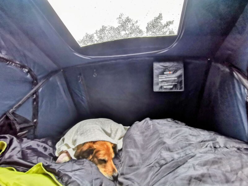 Mit Hund nach Finnland