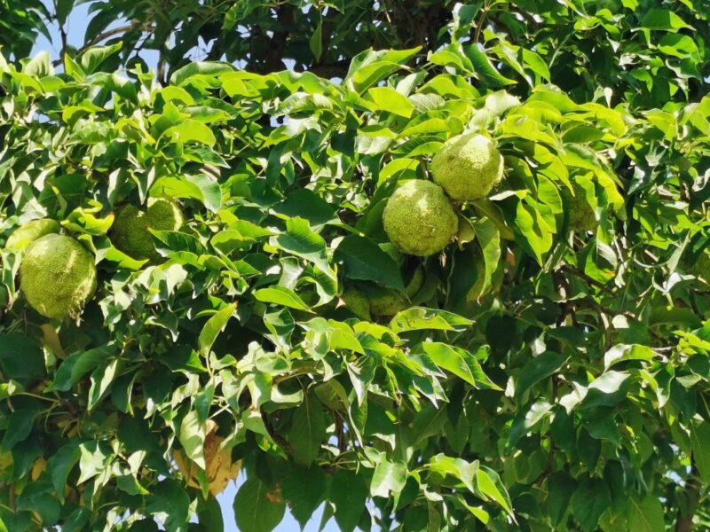 Besuch von Thessaloniki